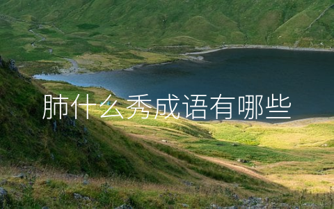 肺什么秀成语有哪些