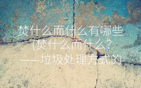 焚什么而什么有哪些 (焚什么而什么？——垃圾处理方式的探讨)