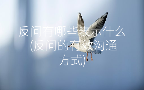 反问有哪些表示什么 (反问的有效沟通方式)