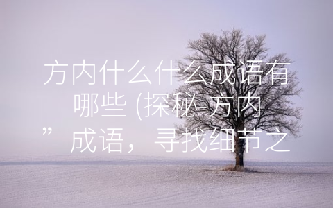 方内什么什么成语有哪些 (探秘-方内”成语，寻找细节之美)