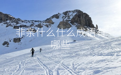 非亲什么什么成语有哪些