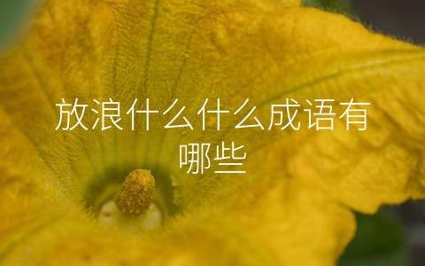 放浪什么什么成语有哪些