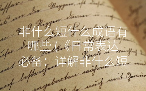 非什么短什么成语有哪些 (《日常表达必备：详解非什么短什么成语》)