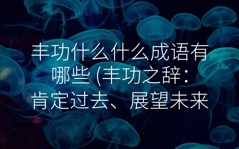 丰功什么什么成语有哪些 (丰功之辞：肯定过去、展望未来)