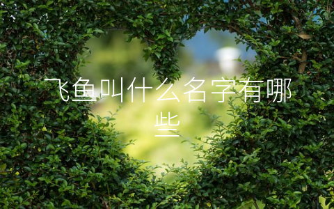 飞鱼叫什么名字有哪些