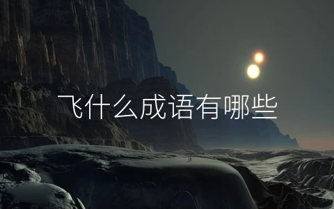 飞什么成语有哪些