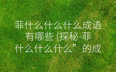 菲什么什么什么成语有哪些 (探秘-菲什么什么什么”的成语世界)