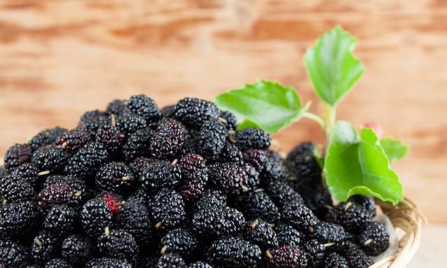 不加酒的桑葚酒怎么酿 桑葚酒可以保存多久不坏