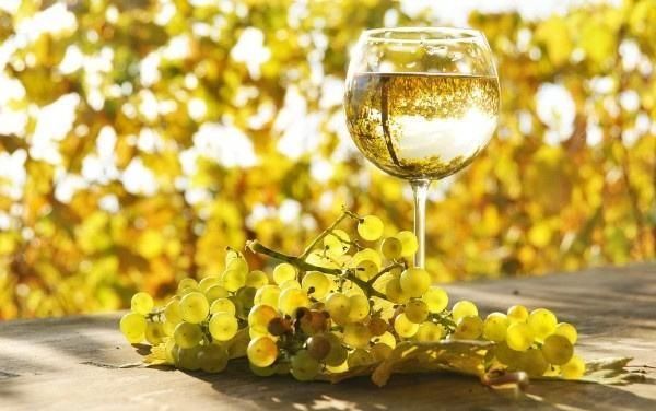 葡萄酒是怎么做的