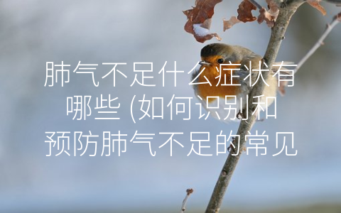 肺气不足什么症状有哪些 (如何识别和预防肺气不足的常见症状？)