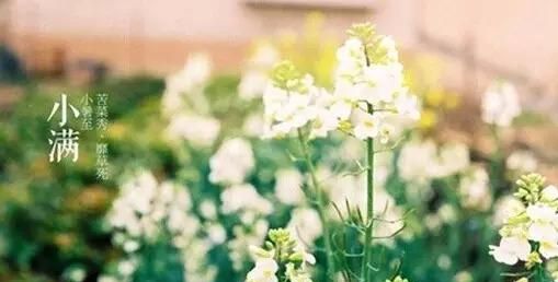 杭州荷花宴十大经典菜