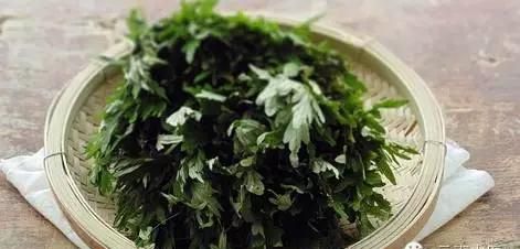 真正的艾叶可以食用吗 食用的艾叶多久能收成