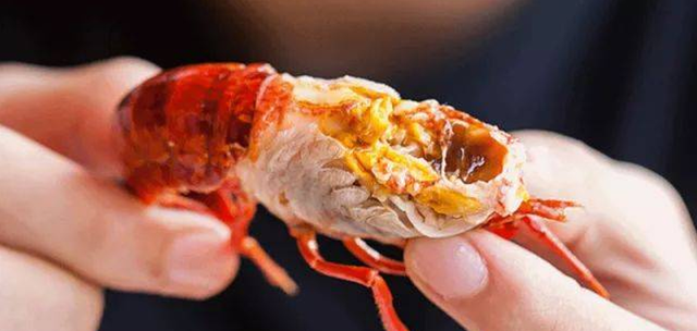 小龙虾头能不能吃 百度百科 小龙虾的头可以嗦一口吗
