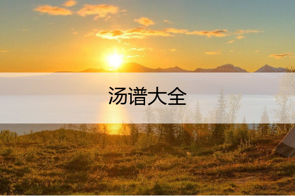 汤谱大全 汤谱大全做法