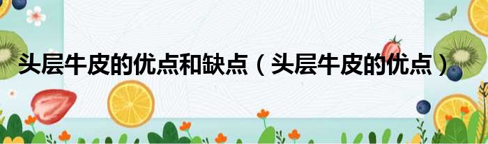 头层牛皮的优点和缺点 头层牛皮的优点