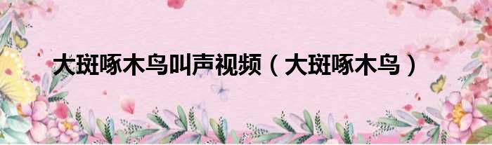 大斑啄木鸟叫声视频 大斑啄木鸟