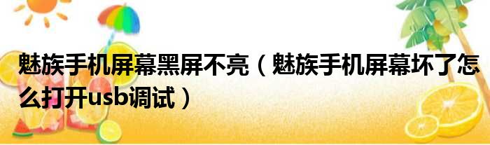 魅族手机屏幕黑屏不亮 魅族手机屏幕坏了怎么打开usb调试