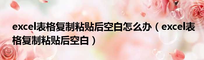 excel表格复制粘贴后空白怎么办 excel表格复制粘贴后空白