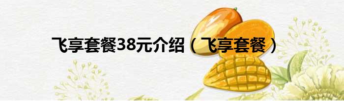 飞享套餐38元介绍 飞享套餐