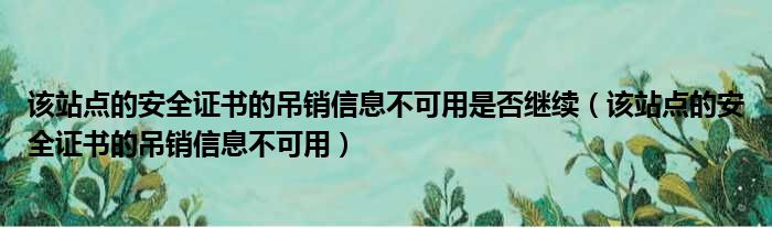 该站点的安全证书的吊销信息不可用是否继续 该站点的安全证书的吊销信息不可用