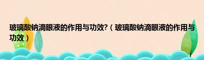 玻璃酸钠滴眼液的作用与功效  玻璃酸钠滴眼液的作用与功效