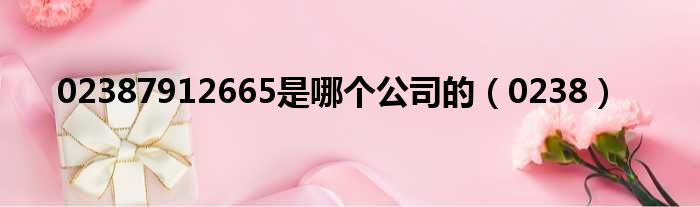02387912665是哪个公司的 0238