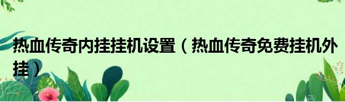 热血传奇内挂挂机设置 热血传奇免费挂机外挂