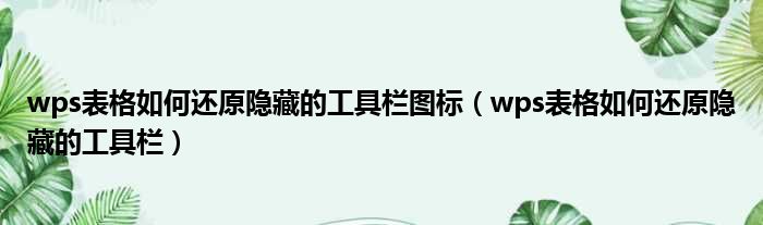 wps表格如何还原隐藏的工具栏图标 wps表格如何还原隐藏的工具栏