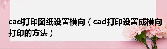 cad打印图纸设置横向 cad打印设置成横向打印的方法