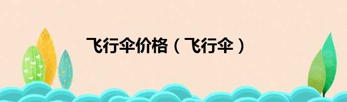 飞行伞价格 飞行伞