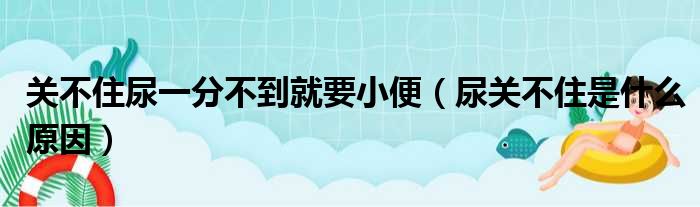 关不住尿一分不到就要小便 尿关不住是什么原因