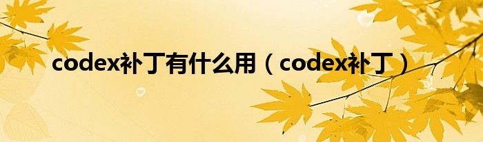 codex补丁有什么用 codex补丁