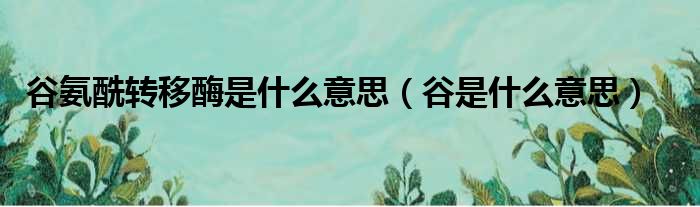 谷氨酰转移酶是什么意思 谷是什么意思