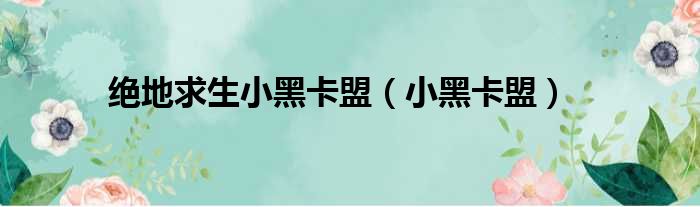 绝地求生小黑卡盟 小黑卡盟