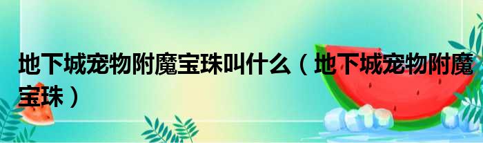 地下城宠物附魔宝珠叫什么 地下城宠物附魔宝珠