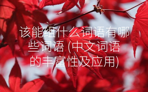 该能组什么词语有哪些词语 (中文词语的丰富性及应用)