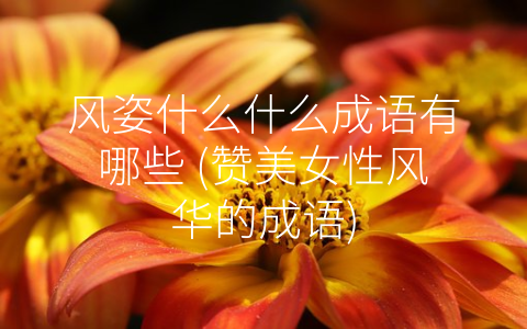 风姿什么什么成语有哪些 (赞美女性风华的成语)