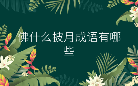 佛什么披月成语有哪些