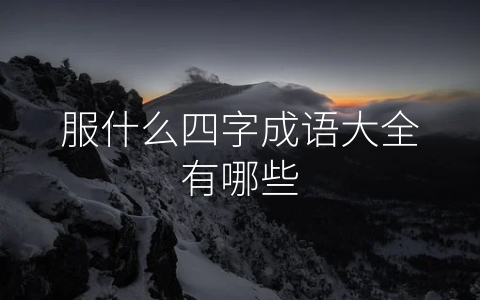 服什么四字成语大全有哪些