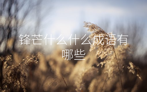 锋芒什么什么成语有哪些