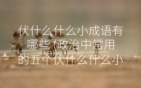 伏什么什么小成语有哪些 (政治中常用的五个伏什么什么小成语)