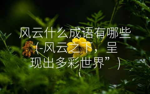 风云什么成语有哪些 (-风云之下，呈现出多彩世界”)