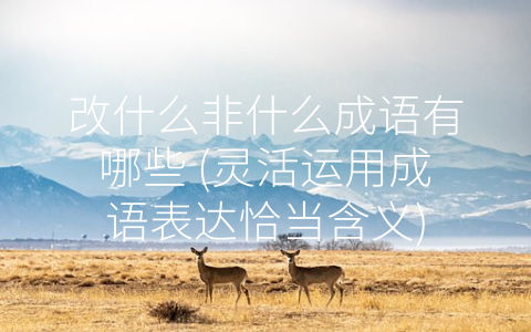 改什么非什么成语有哪些 (灵活运用成语表达恰当含义)