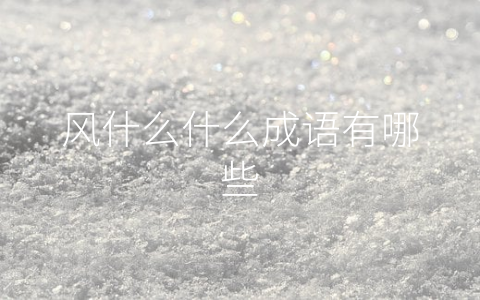 风什么什么成语有哪些