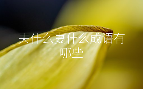 夫什么妻什么成语有哪些