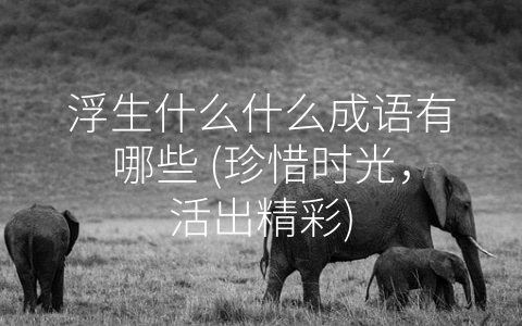 浮生什么什么成语有哪些 (珍惜时光，活出精彩)