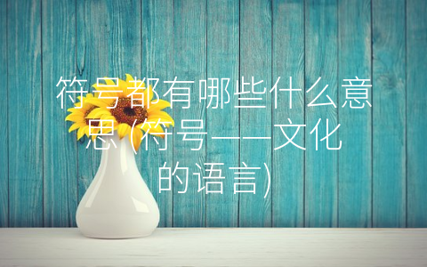 符号都有哪些什么意思 (符号——文化的语言)