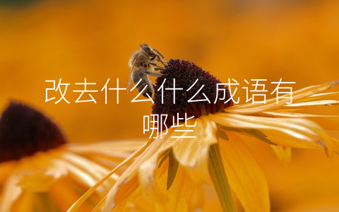 改去什么什么成语有哪些