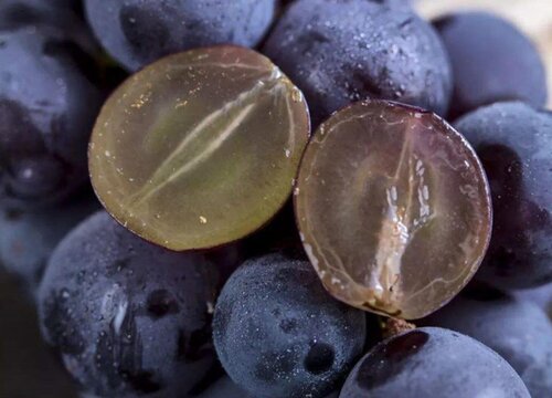 巨峰葡萄和夏黑葡萄的区别