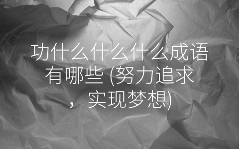 功什么什么什么成语有哪些 (努力追求，实现梦想)